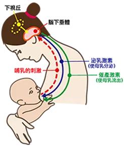 猴年马月 第2页