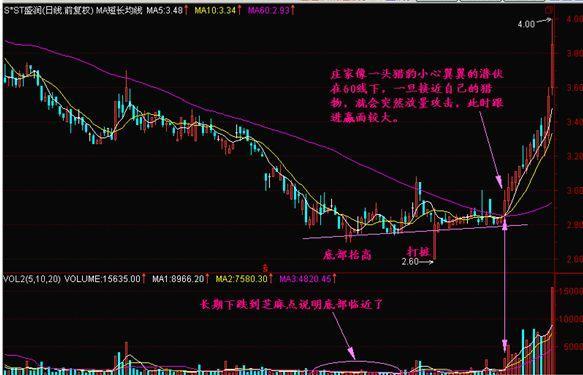 看香港正版精准特马资料,探索香港正版精准特马资料的独特魅力