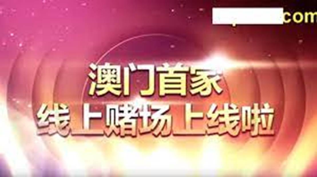 2024新澳门天天开好彩,新澳门天天开好彩，探索背后的故事与未来展望