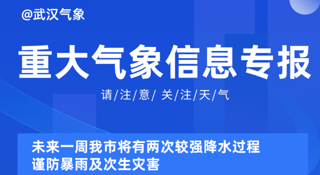 2025新奥资料免费精准071,探索未来，2025新奥资料的免费精准共享之路（071新纪元）